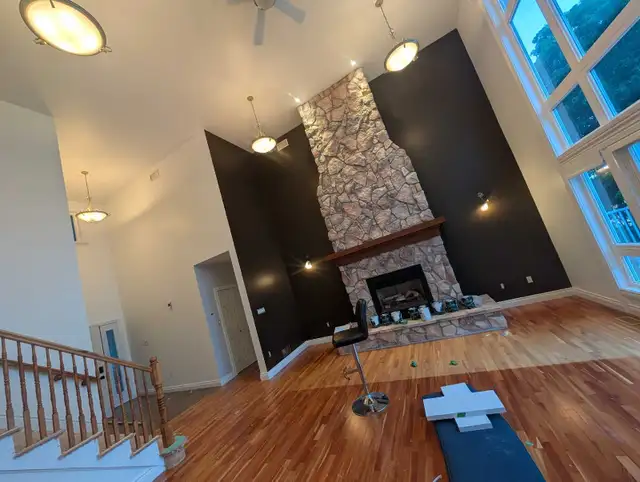PROFESSIONAL OTTAWA PAINTER! BEST PRICING! 613-262-3721