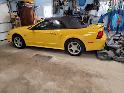 Ford Mustang GT convertible 1999