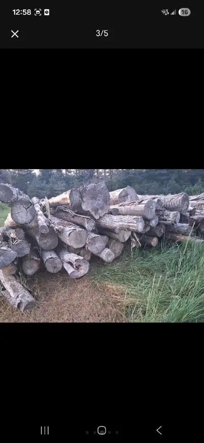 firewood log processing , View more