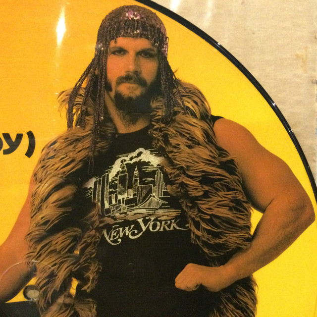 Jesse "The Body" Ventura  WWF Wrestler PICTURE DISC Vinyl Record in Arts & Collectibles in Oshawa / Durham Region - Image 3