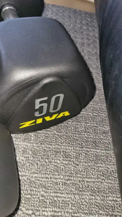 50 lbs Brand NEW rubber coated dumbbells , View more