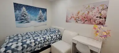 Newly renovated house, bright cozy clean quiet with furnished bedrooms on the main floor, 1 room is...
