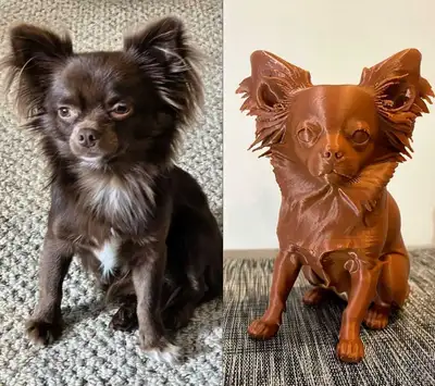 Offering custom 3D prints from a photo. Send a picture(s) of you, your pet or object you want to hav...