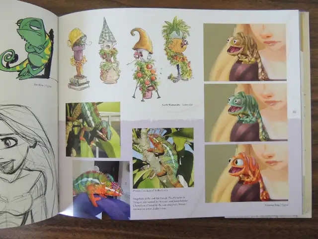 The Art of Tangled Hardcover63234551363713122