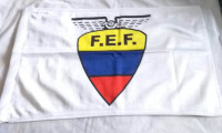 Federacion Ecuatoriana football Club Flag