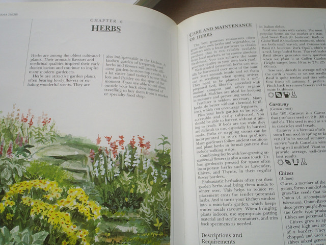 Gardening/Gardner’s Reference Book in Textbooks in Sarnia - Image 4