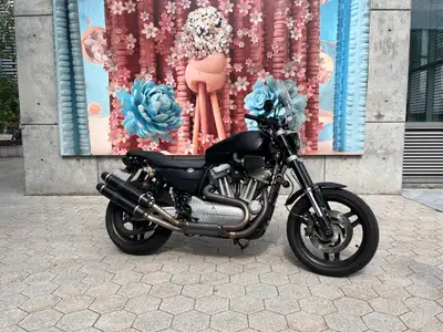 Harley Davidson Sportster XR 1200 (2009) Rare Harley performance model produced for a limited time....