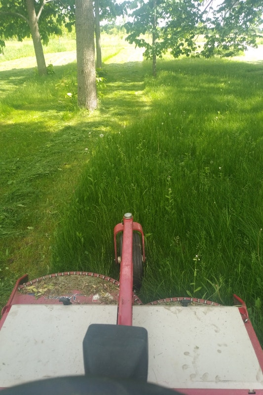 Simcoe County Tall Grass and Weed Cutting (416) 570 5456 Lawn, Tree