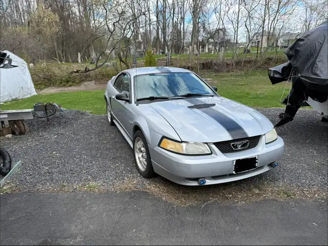 1999 Mustang