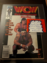 WCW Comic Book Steiner Brothers WWE WWF Booth 264