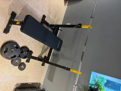 Bench Press with Olympic Barbell and Weights, View more