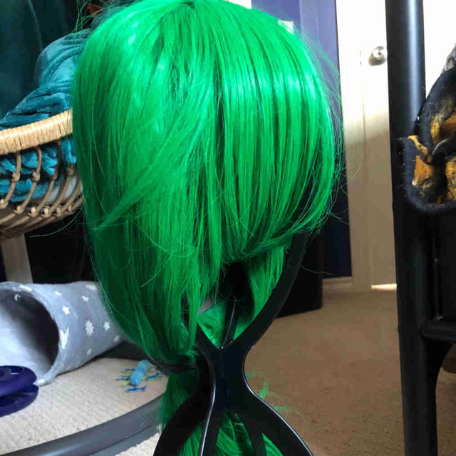 Green wig  in Costumes in Regina