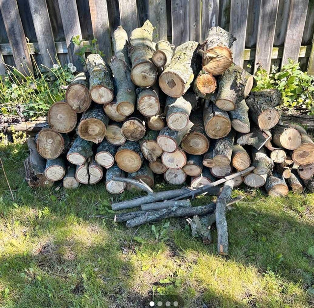 Wanted free firewood (hardwood) in Free Stuff in Mississauga / Peel Region
