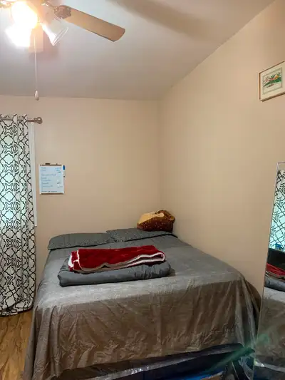 Looking for female roommate. It is 4 bedroom house. I am from South Asia and respect all. Rent inclu...
