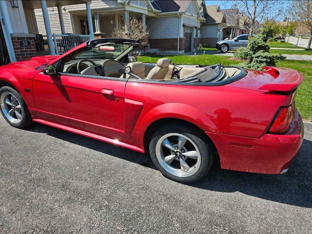 Mustang Convertible GT in Cars & Trucks in Kawartha Lakes - Image 4
