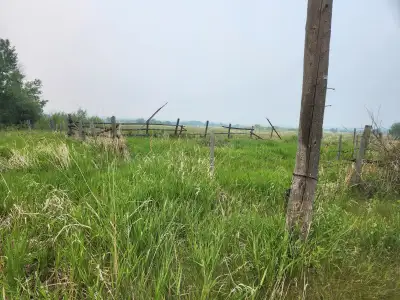 156 acres for sale in armstrong rm. Was cleared for pasture approximately 10 years ago but has been...