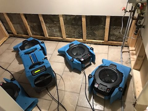 Water damage - Flooded Basement - Mold Removal - Demolition in Other in Markham / York Region - Image 2