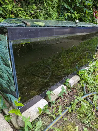 48 1/4" x 18 1/4" x 19 1/2"H (LxWxH in inches) About 270 liters or 70 gallon Good condition asking $...