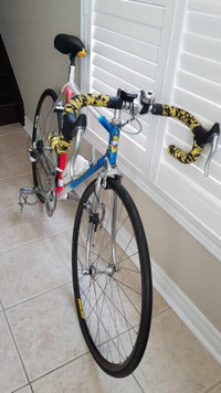 Vetta discount bike trainer