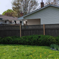 Fence Installation and Repairs 