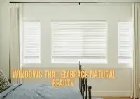 Window Blinds for the modern world