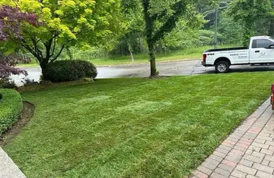 grass cutting starting at $40, View more