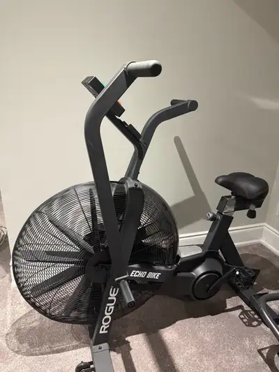 Rogue Echo Bike, View more