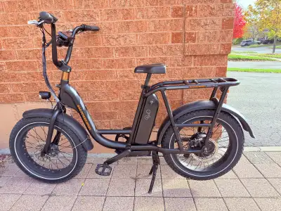 RadPower ebike RadRunner, View more