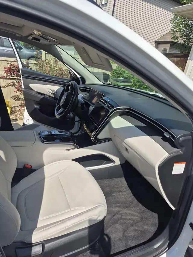 Premium Car Detailing 518967619466055683
