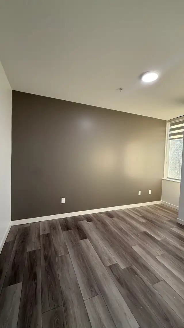 clean/reliable painter $99sale557469203400632329