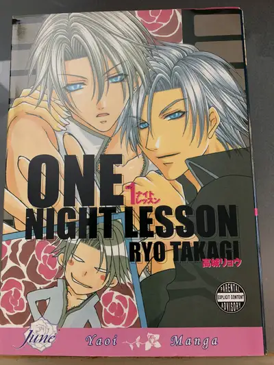 New One Night Lesson [Yaoi] [Yaoi Manga] 2008 $39, View more