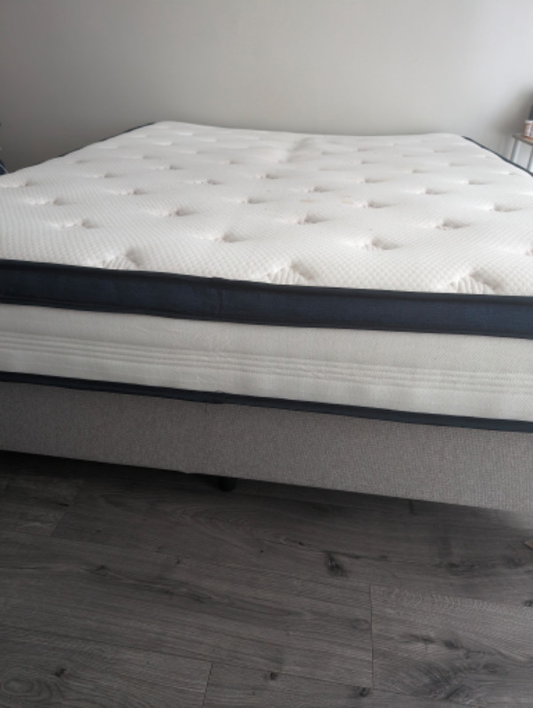 Queen Mattress and Box Spring for Sale - Price negotiable in Beds & Mattresses in Downtown-West End - Image 4