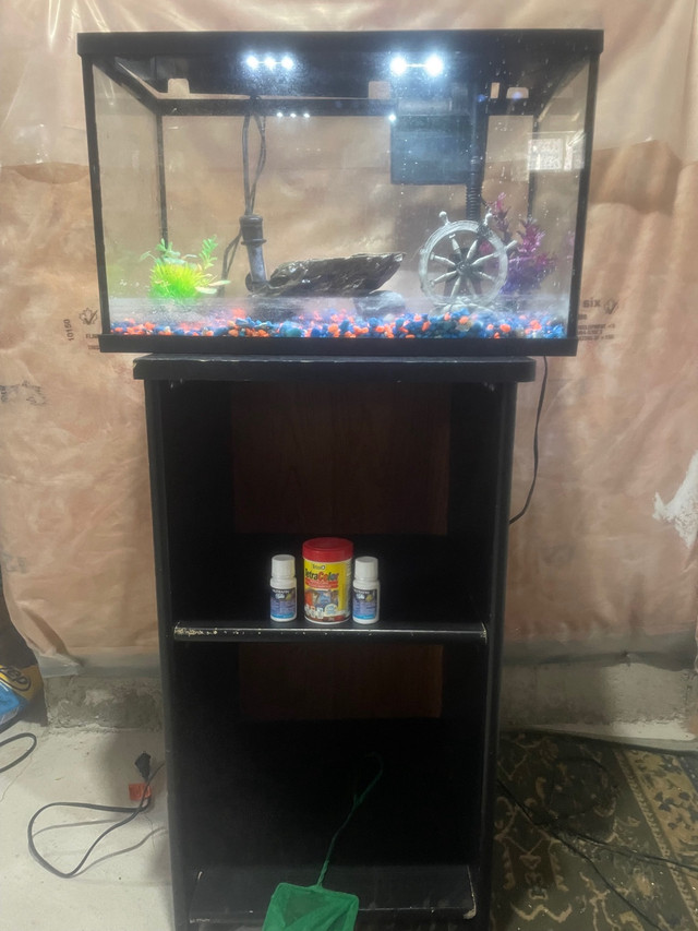 Fish Tank / Aquarium with Stand-10 gals in Fish for Rehoming in Oshawa / Durham Region - Image 3