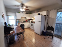 Newly Renovated Apts -Close to the UWindsor, Downtown & St Clair