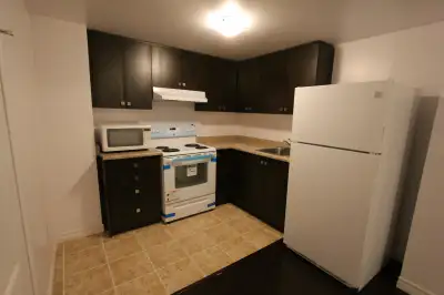 1 Bedroom Basement