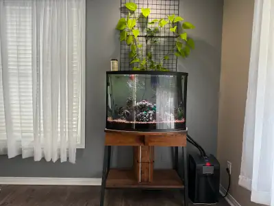 Premium 40G Bowfront Aquarium Assembly, View more