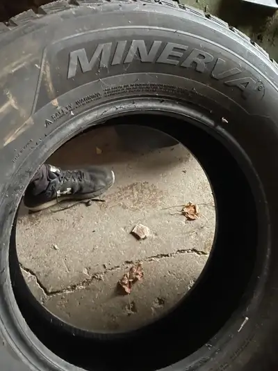 I have Minerva winter tires 245/70 R17 for sale. Good condition. No rims. Asking $200