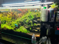 25G Aquarium Planted Setup ***READ***