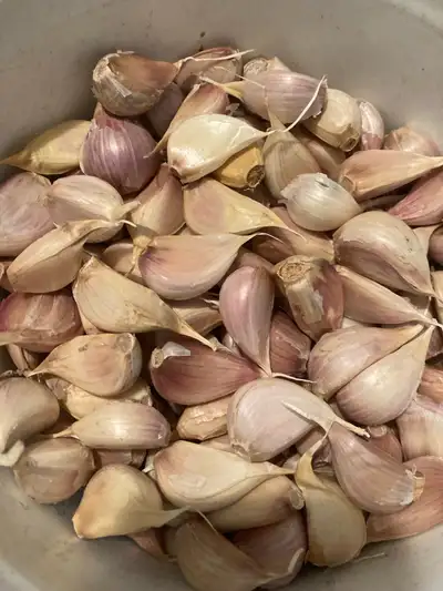 garlic heads or loose garlic cloves/seeds for planting $6/pound, View more