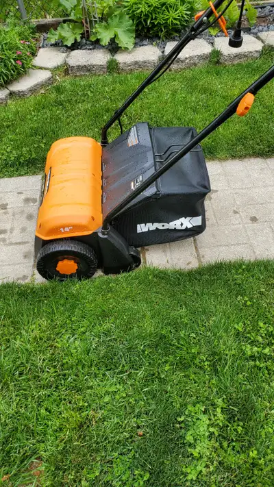 Dethatcher for Lawn, View more