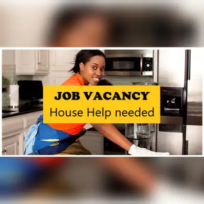 Seeking Part-Time Housekeeping Help – Laundry & Cleaning, View more