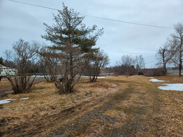 Land for sale in Land for Sale in Cape Breton