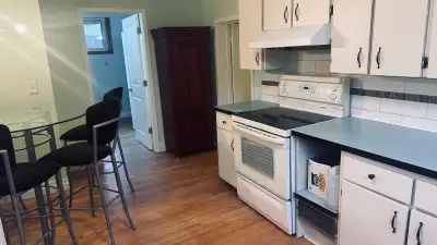 Spacious newly renovated 2 bedroom basement apartment. Close to school, shopping, TTC. Must see!