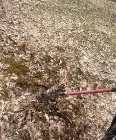 Free landscape work, View more