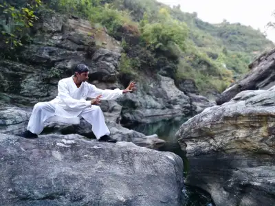 Tai Chi / Kung Fu / Wudang Martial Arts / Online Classes, View more