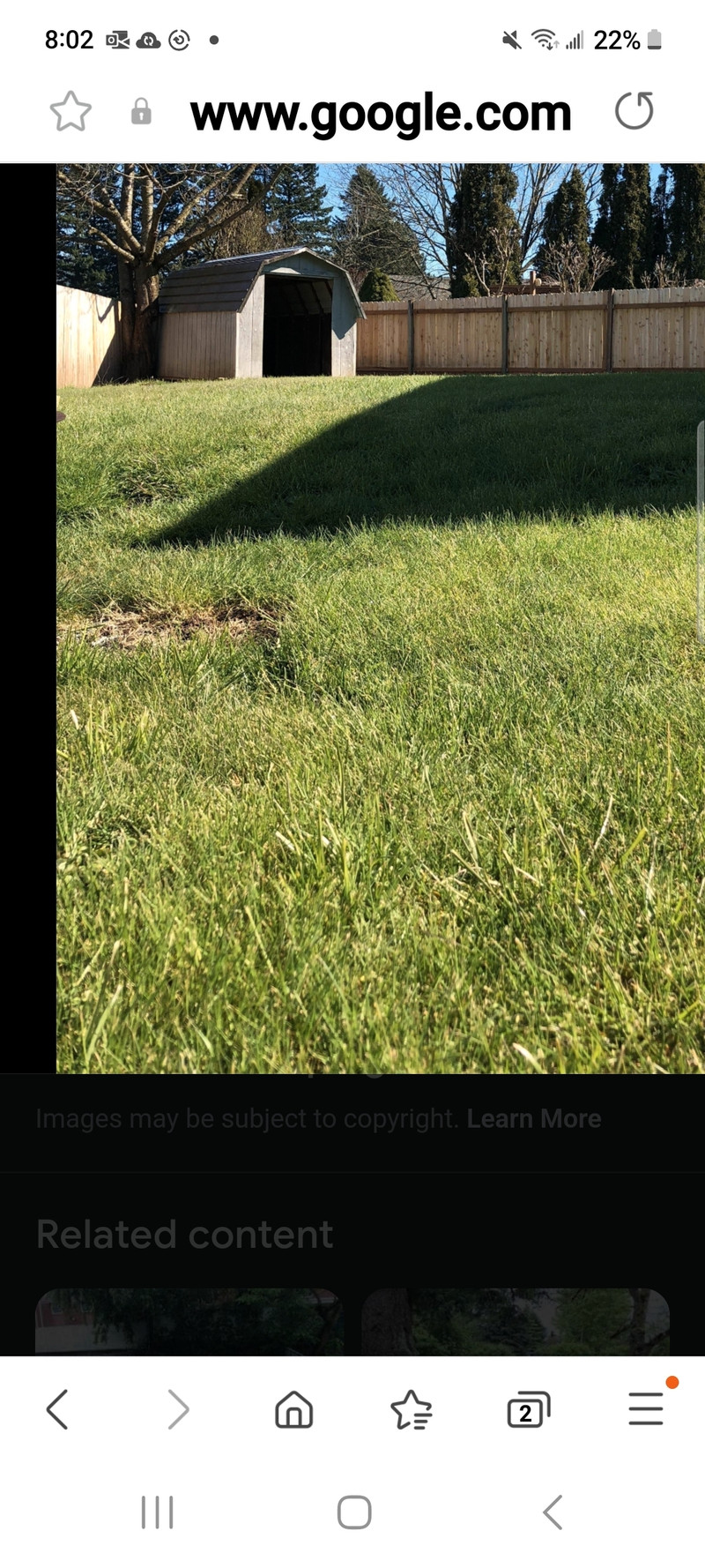 Wanted to rent a full house in or surrounding area Long Term