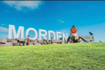 Rural overflow courier service , View more