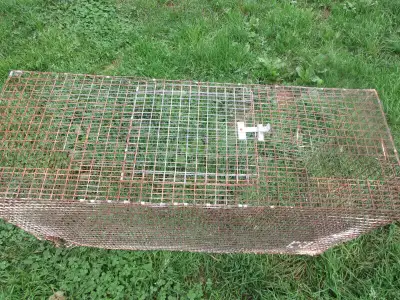 we have rabbit cages for sale, tripples, doubles, singles in very good conditon for sale price is ac...