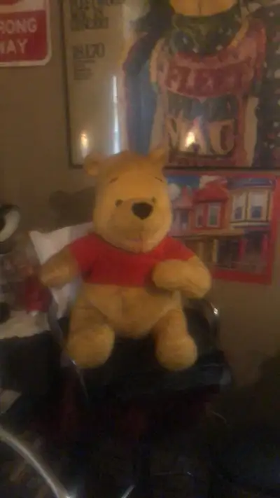 Vintage whinni the phoo with tape inside $20, View more