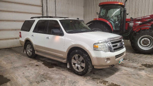 2009 Ford Expedition Eddie Bauer Edition 